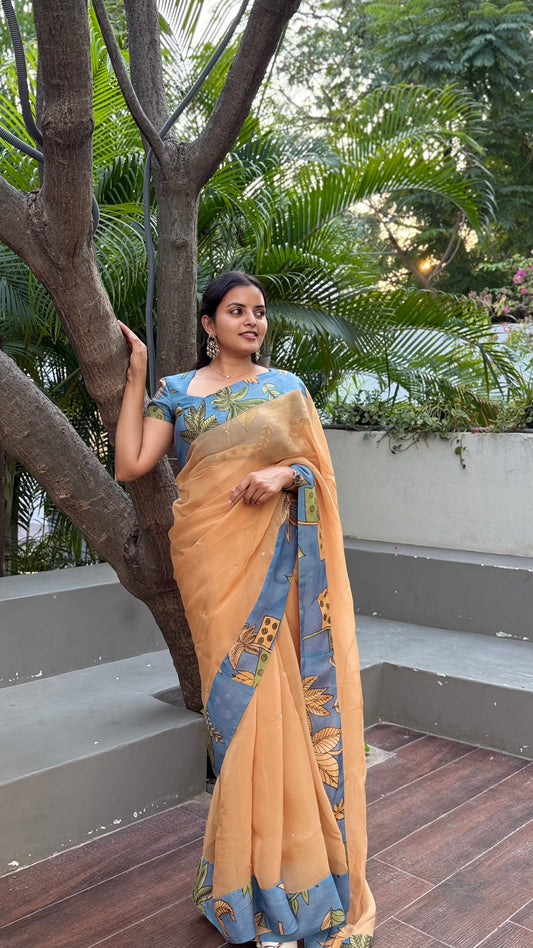 Organza saree