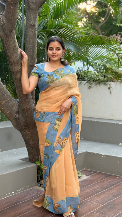 Organza saree