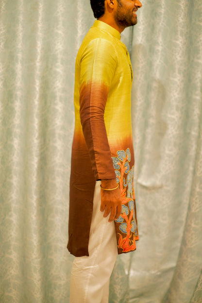 Double Shaded Animals Applique Kurta Set